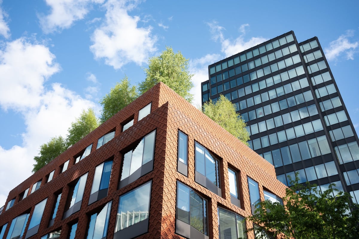 Modern sustainable office building with a green rooftop